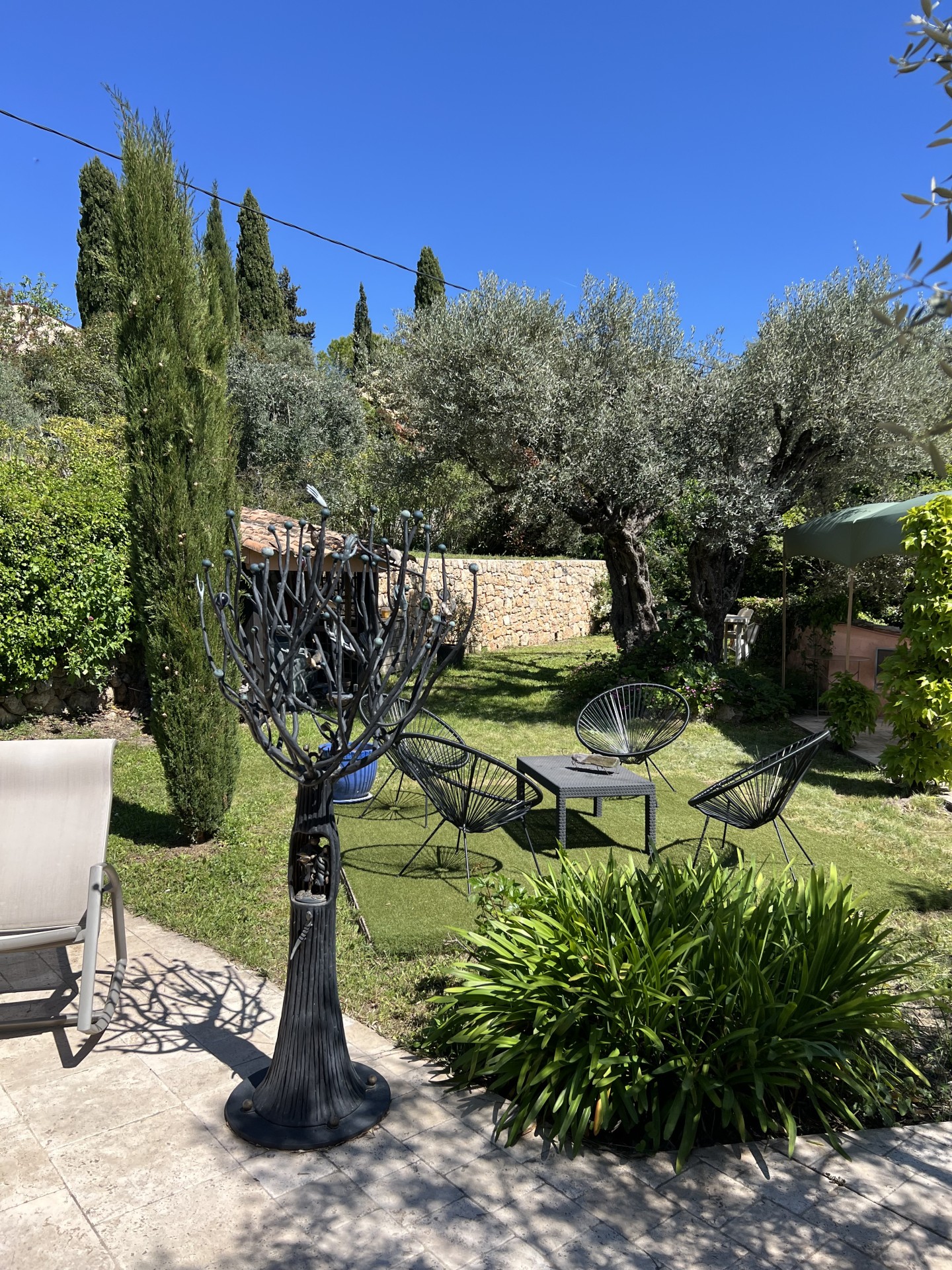 jardin