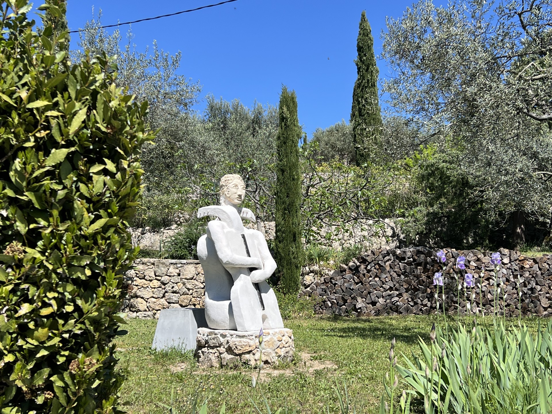 jardin